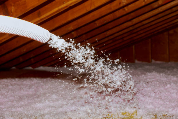 Types of Insulation We Offer in Farr West, UT