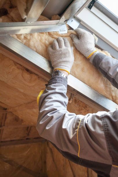 Best Cellulose Insulation in Farr West, UT