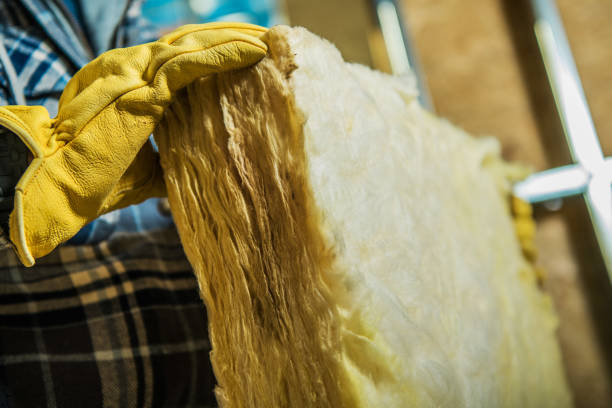 Best Cellulose Insulation in Farr West, UT